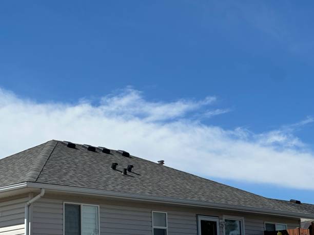 Best Asphalt Shingles Roofing  in Stony Prairie, OH
